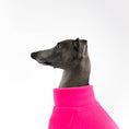 Load image into Gallery viewer, Italian Greyhound
