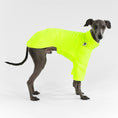 Load image into Gallery viewer, Windspiel Pullover Neon Yellow
