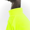 Load image into Gallery viewer, Italian Greyhound
