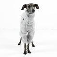 Load image into Gallery viewer, Italian Greyhound Teddy PJ
