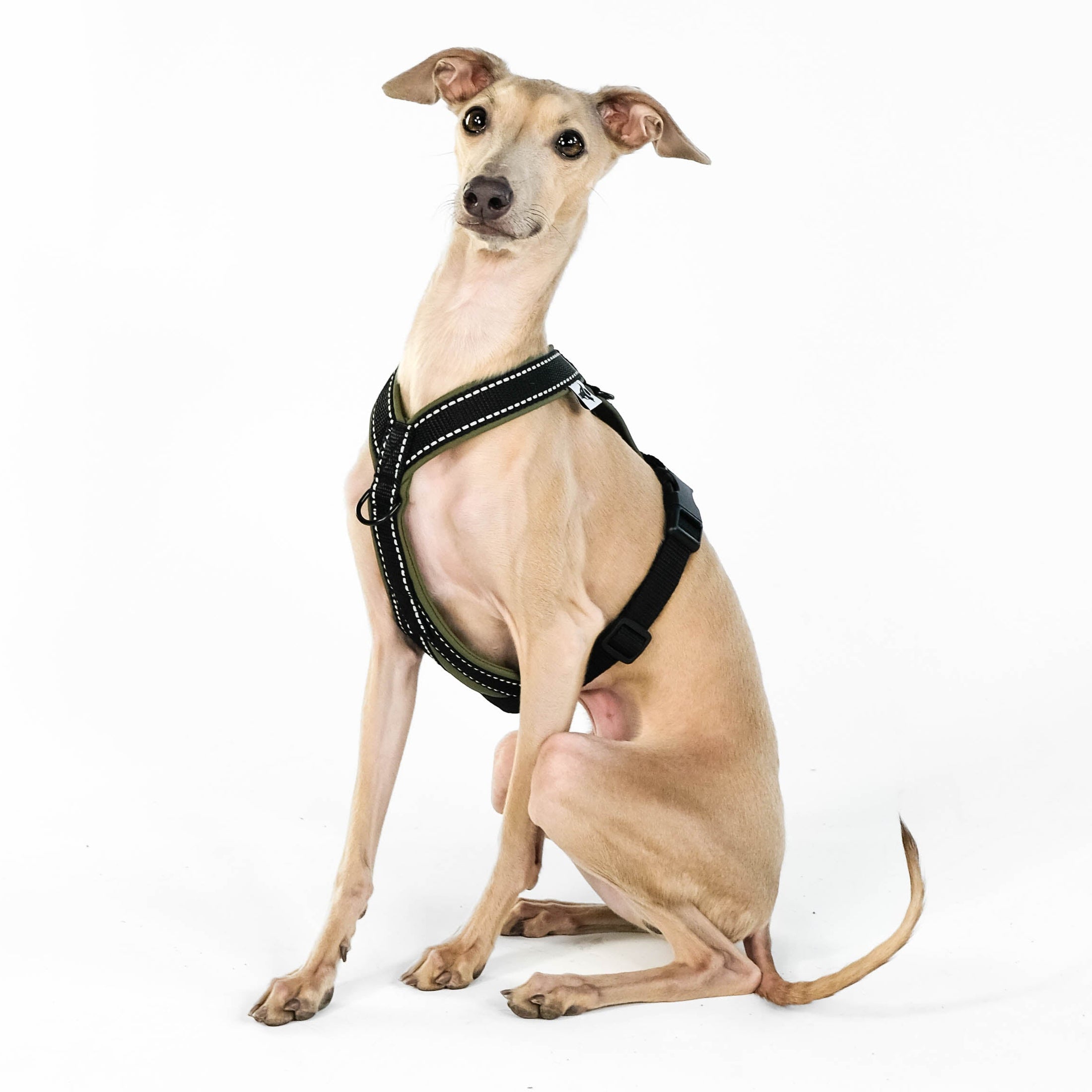 IG Softshell Geschirr Khaki