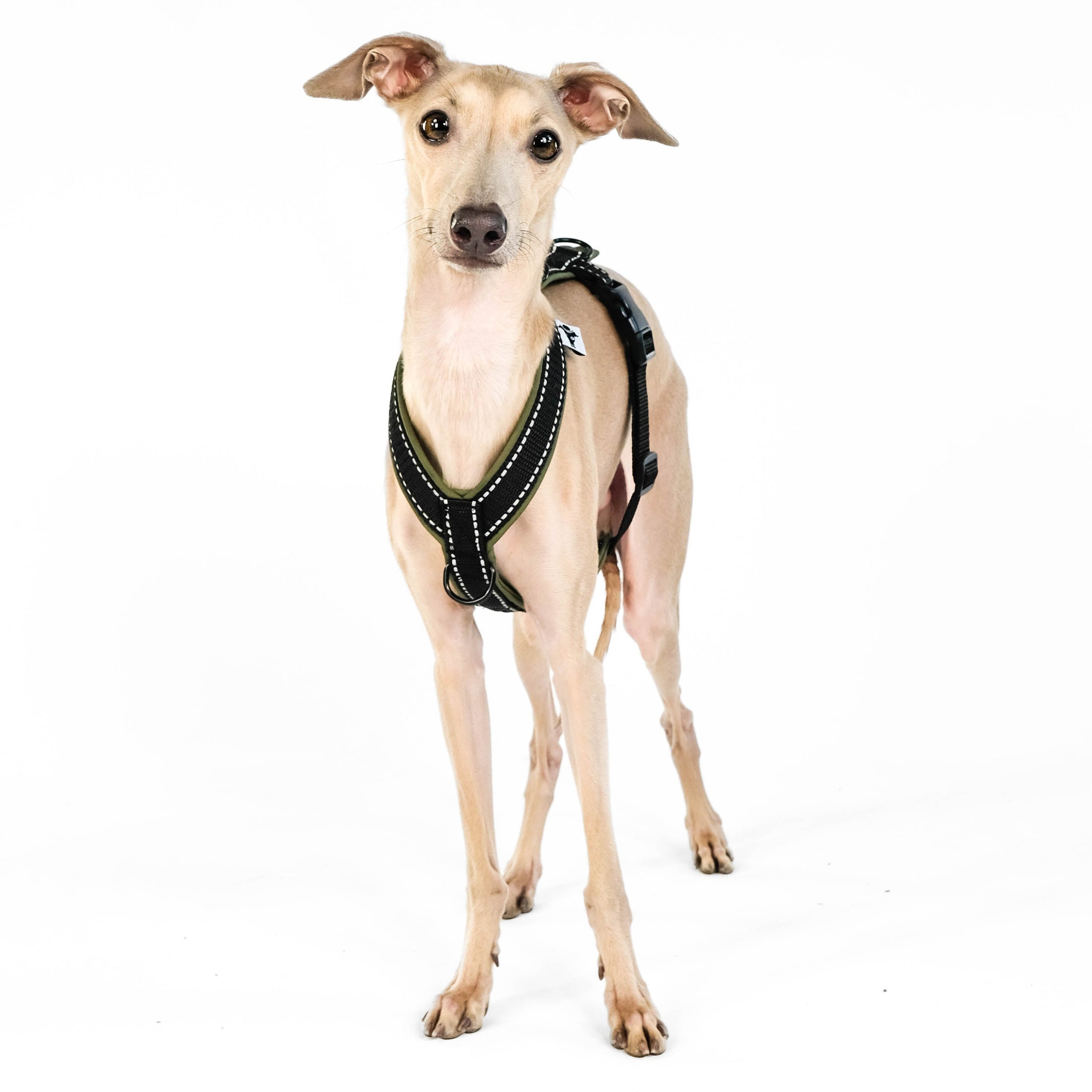 IG Softshell Geschirr Khaki