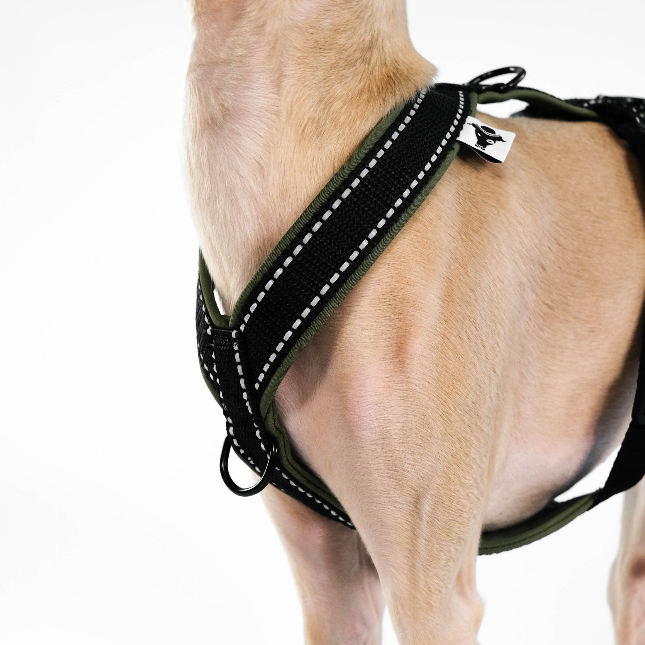 IG Softshell Geschirr Khaki