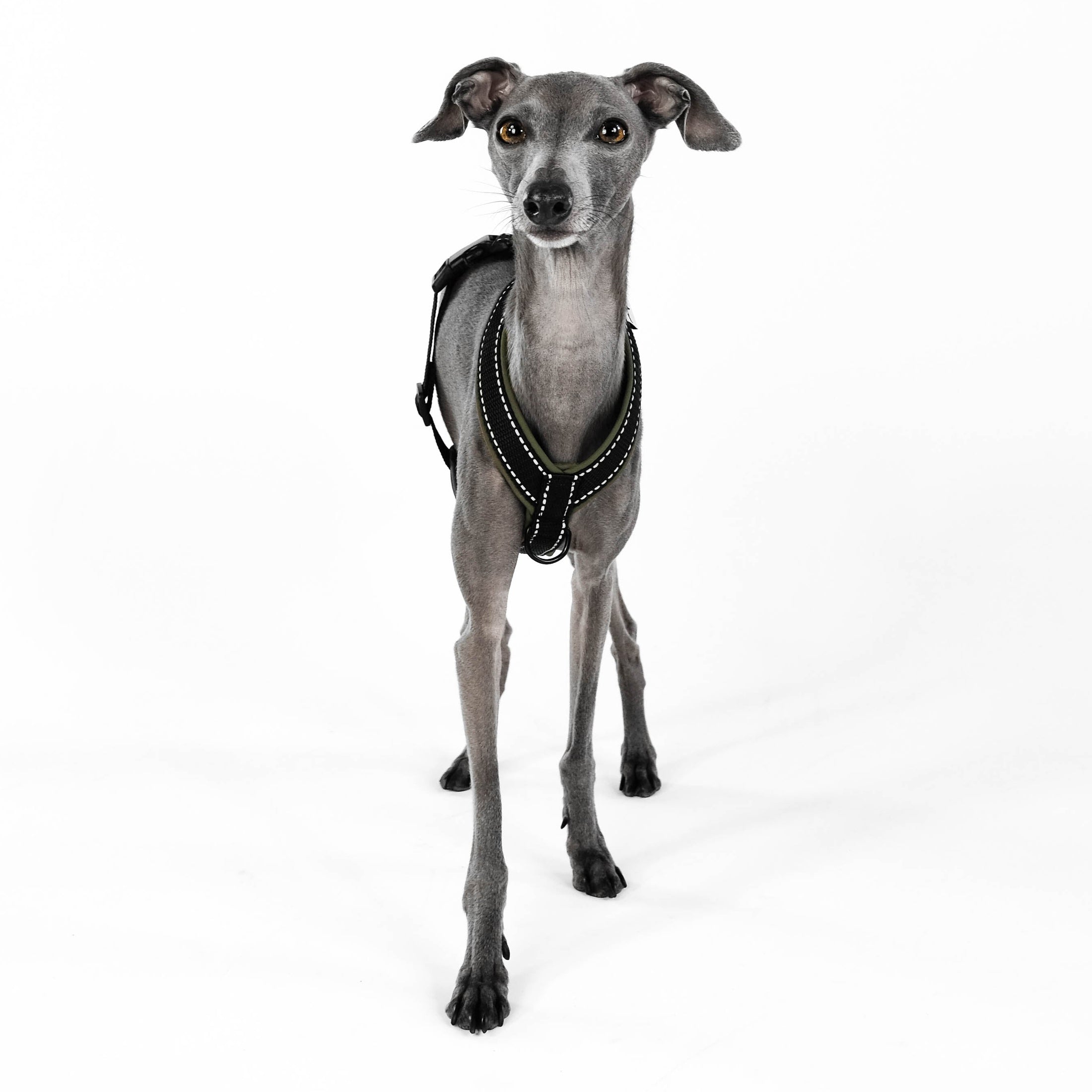 IG Softshell Geschirr Khaki