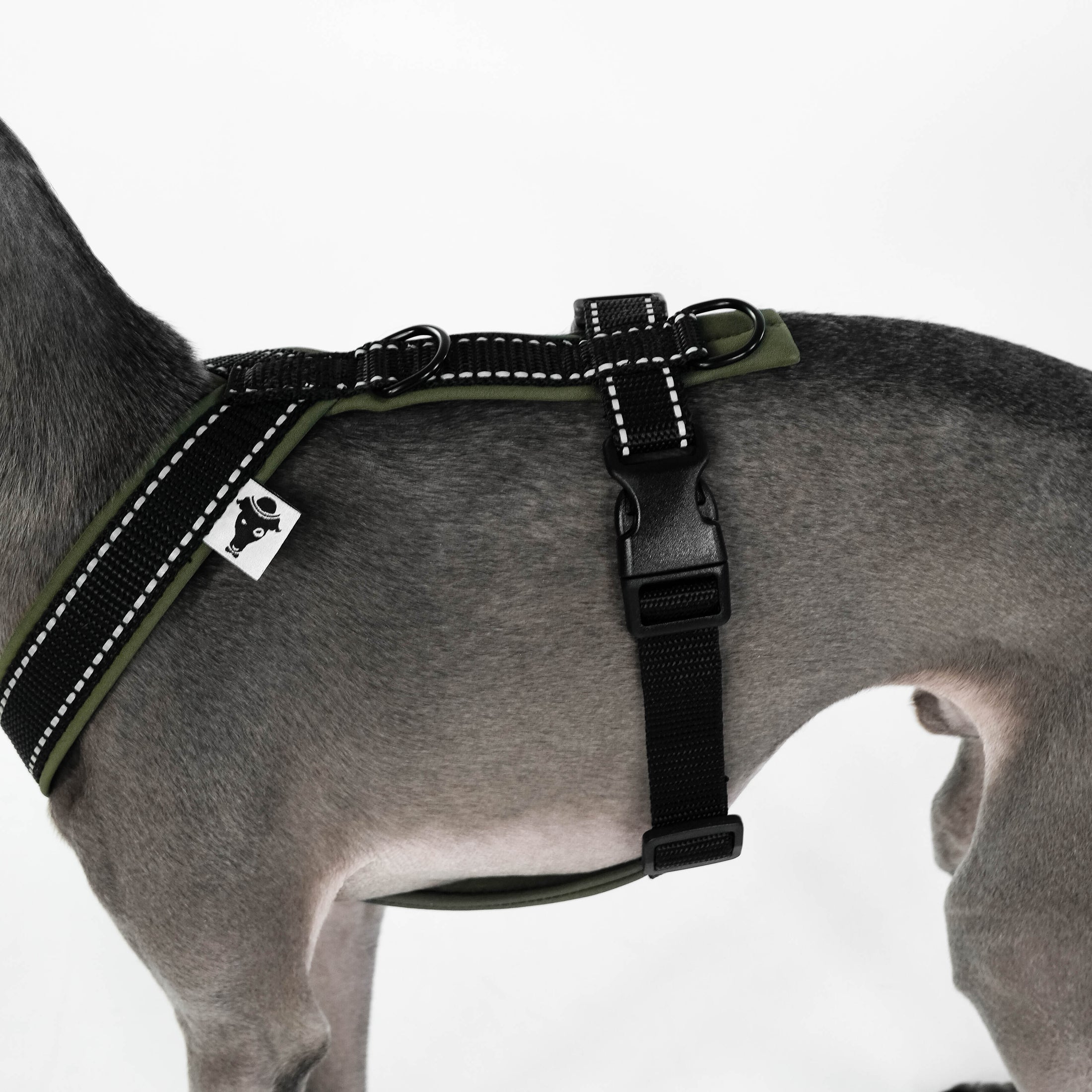 Windspiel Geschirr Dark Olive