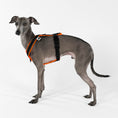 Load image into Gallery viewer, Reflective Dog Harness
