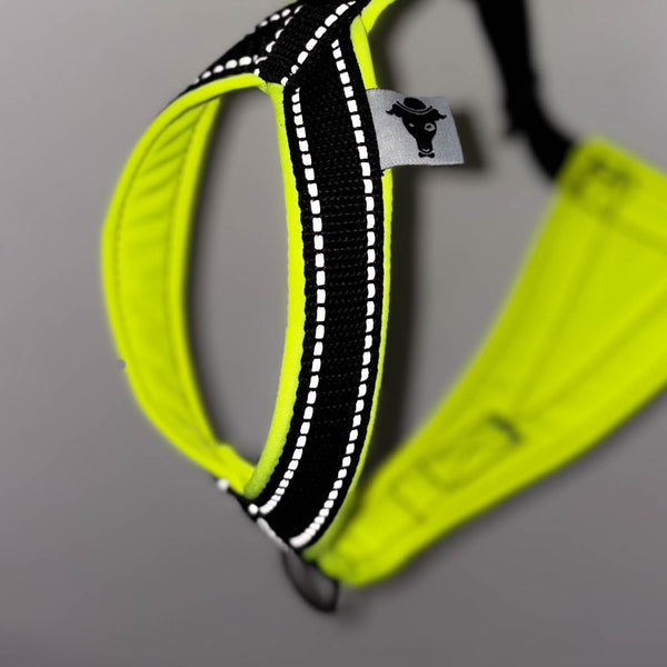 IG Harness Softshell Reflective Neon Yellow