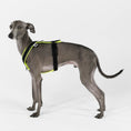 Load image into Gallery viewer, IG Softshell Harness Neon Yellow
