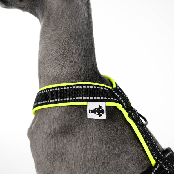 IG Harness Reflective Neon Yellow