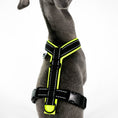 Load image into Gallery viewer, IG Softshell Harness Neon Yellow
