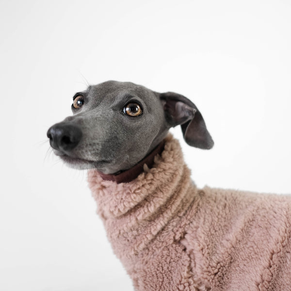 teddy overall for italian greyhounds