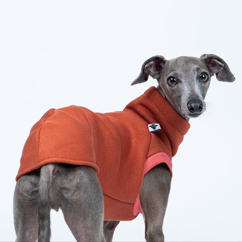 Stehendes Windspiel präsentiert Sweat Shirt in Terracotta – idealer Sitz für feingliedrige Körper