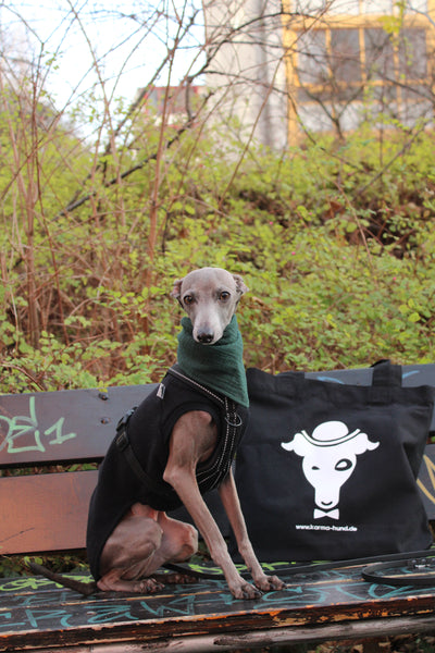 Hundehalstuch Forest Green