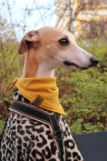 Load image into Gallery viewer, Hundehalstuch Sunny Yellow
