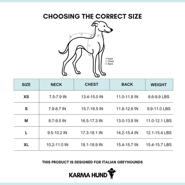 Iggy Clothing Size Chart English 2025