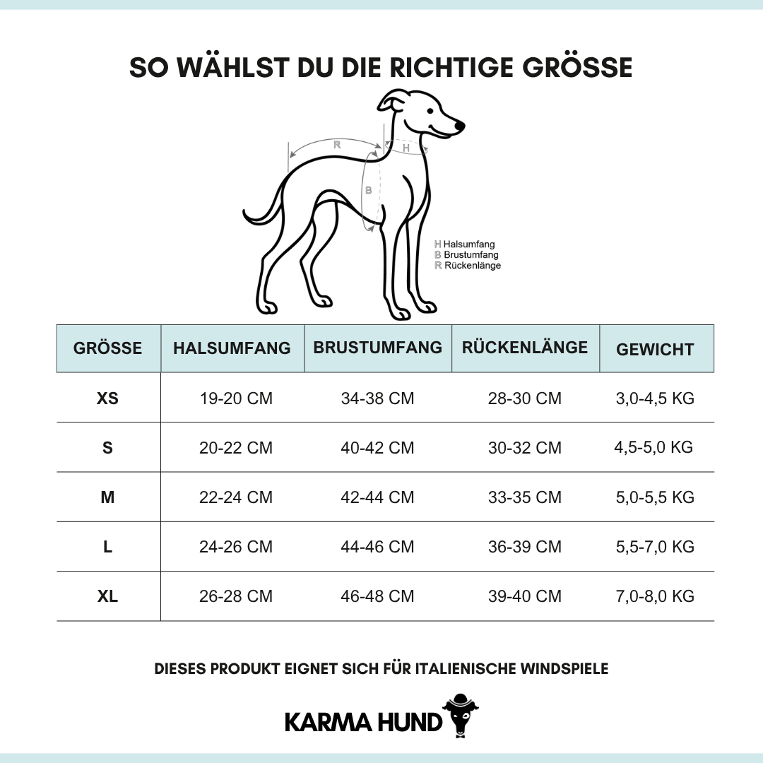 Iggy leidung Masstabelle Deutsch 2025