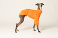 Load image into Gallery viewer, Italienisches Windspiel trägt gemütlichen Pullover in Orange aus Fleece
