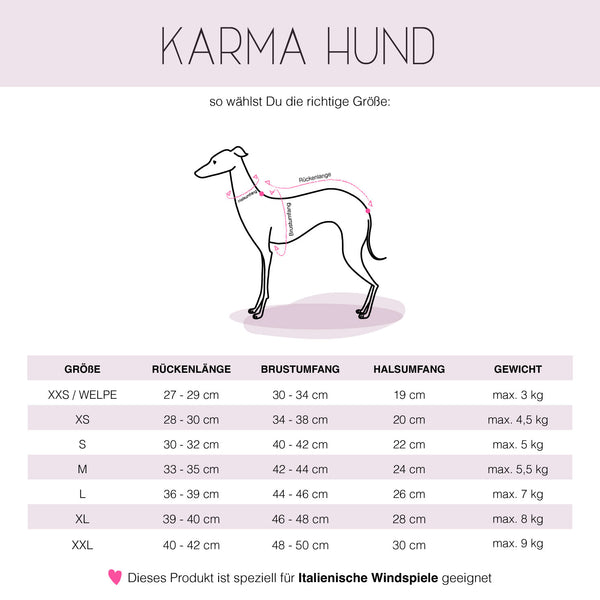 Karma Hund Windspiel Tabelle 2025