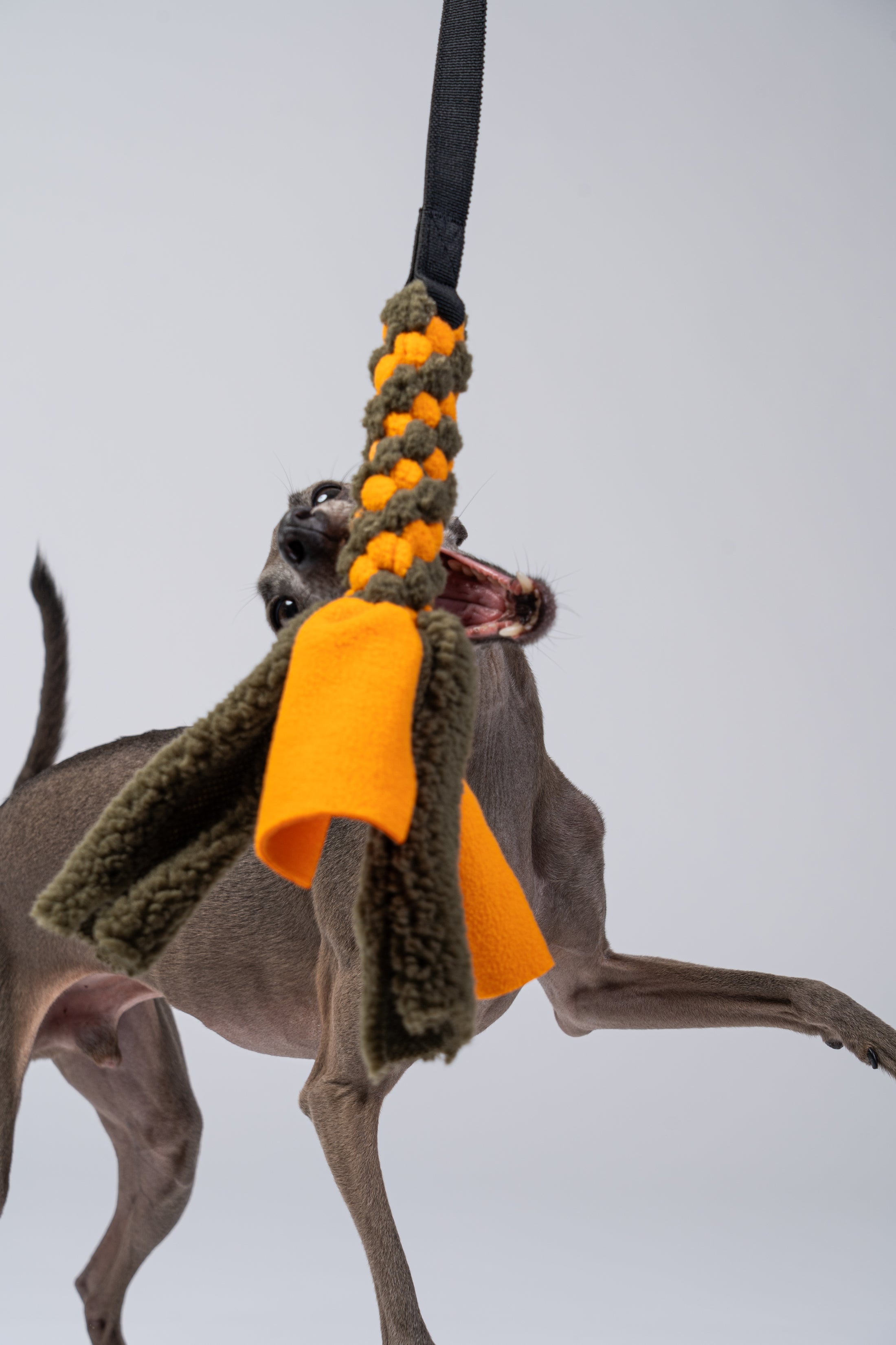 Nahaufnahme: Windspielzähne greifen das robuste Gurtband.