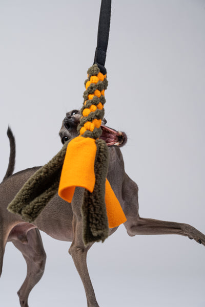 Nahaufnahme: Windspielzähne greifen das robuste Gurtband.