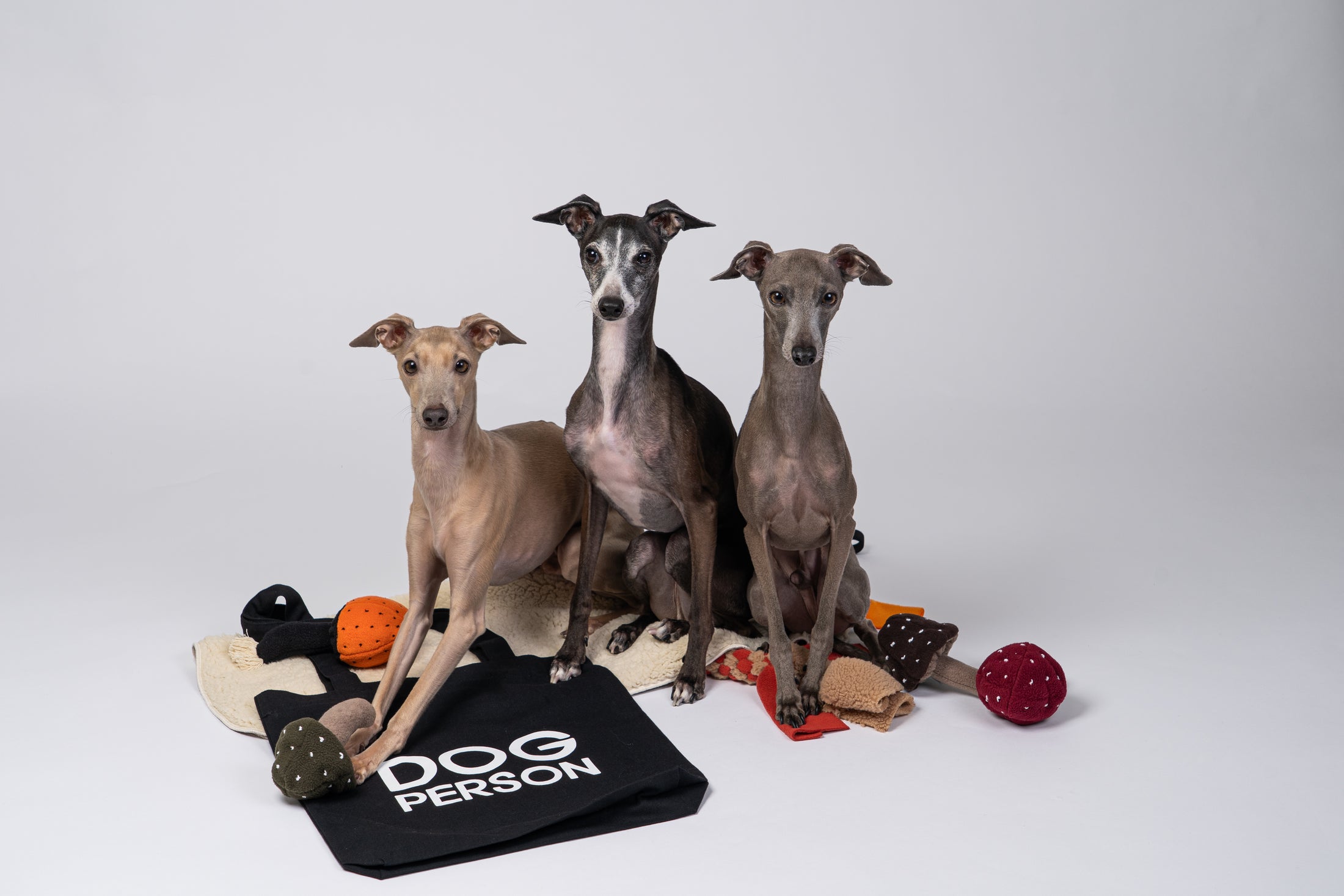 Schwarzer Jutebeutel „Dog Person“ mit drei Italienischen Windspielen im Sitzen.