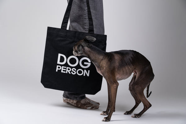 Italienisches Windspiel berührt spielerisch den Karma Hund Jutebeutel.