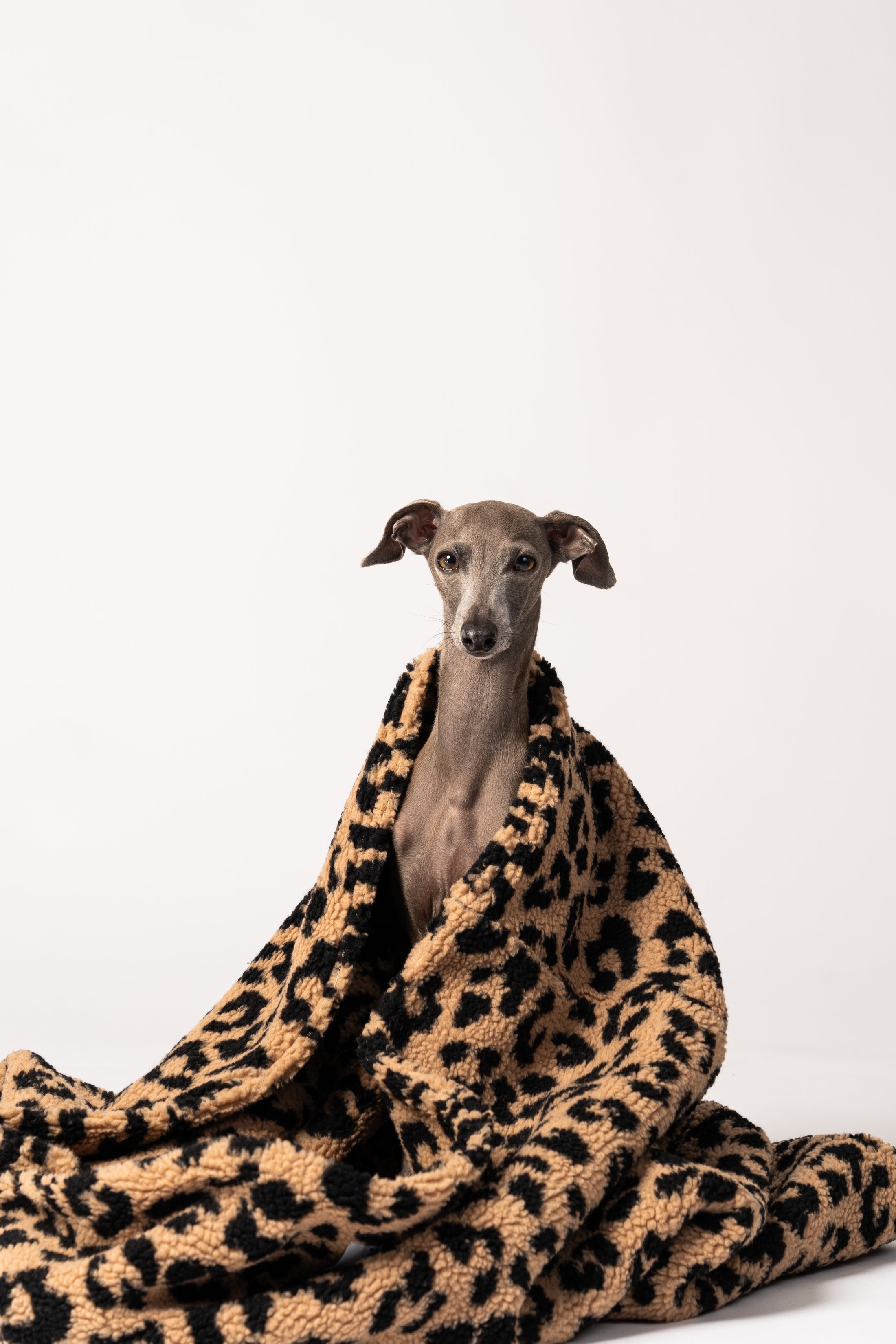 Karma Hund Schlafsack für kleine und mittelgroße Hunde zum Einkuscheln