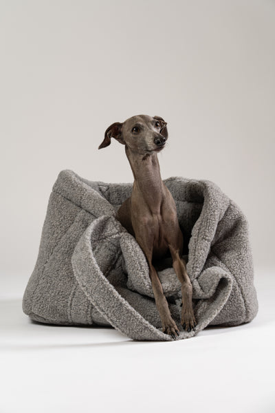 Italienisches Windspiel im grauen Teddy Shopper von Karma Hund – stilvolle Hundetasche für Reisen und Ausflüge.