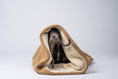 Load image into Gallery viewer, Ein Windspiel schaut neugierig aus der weichen Schlafhöhle aus Camel-Teddystoff heraus.
