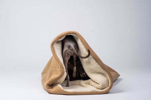 Ein Windspiel schaut neugierig aus der weichen Schlafhöhle aus Camel-Teddystoff heraus.