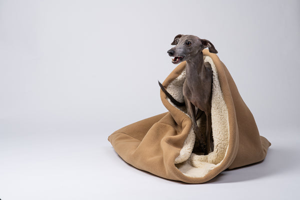 Ein Windspiel schaut neugierig aus der weichen Schlafhöhle aus Camel-Teddystoff heraus.