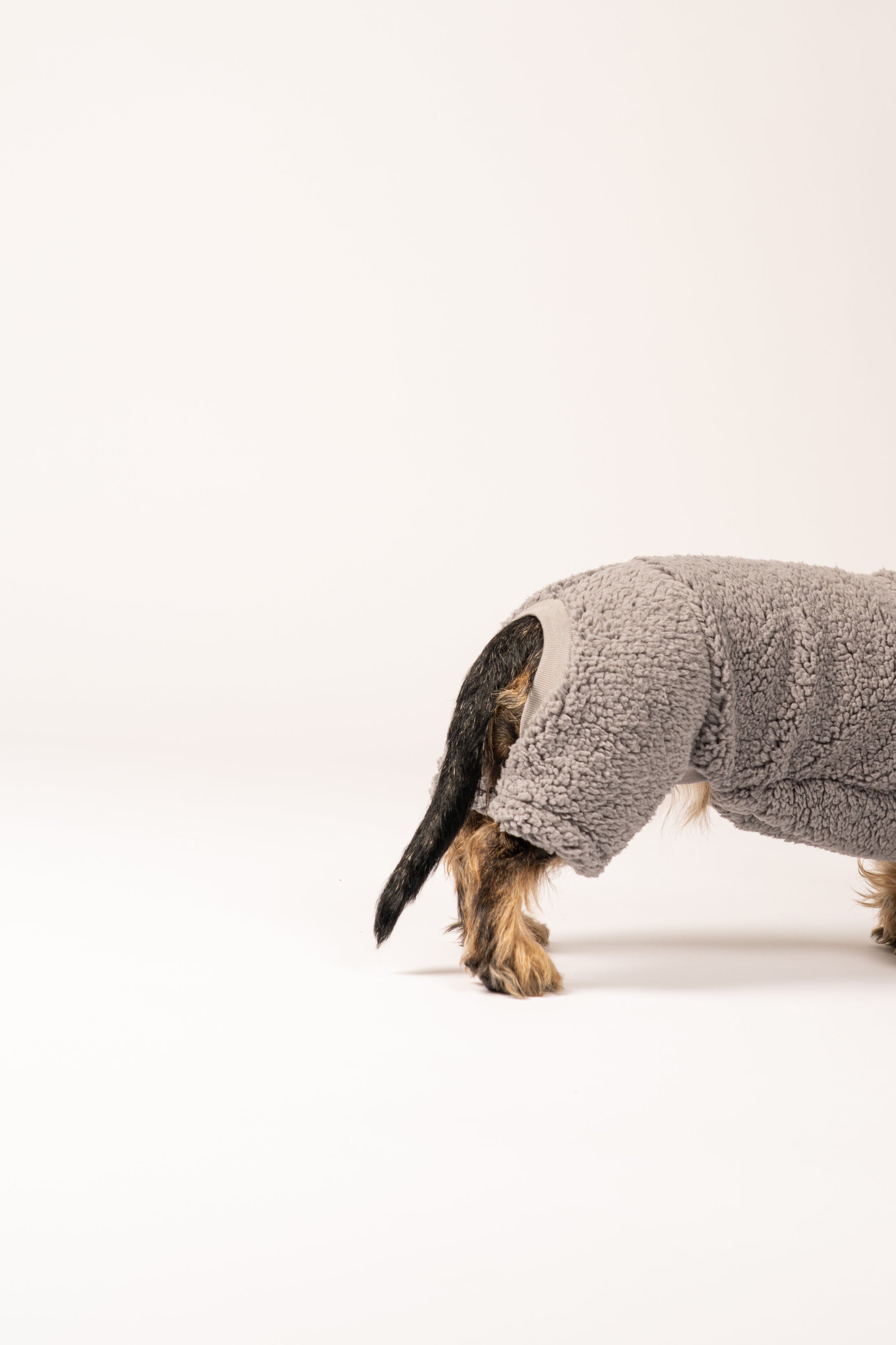 Warmer Hundemantel für Dackel mit perfekter Passform und Schutz für Rücken und Beine