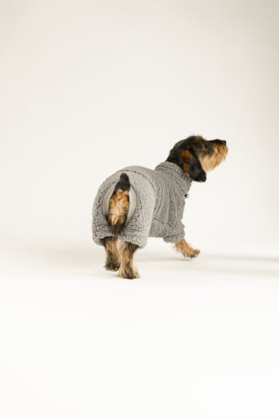 Kuscheliger Teddy-Fleece Overall für Dackel, getestet an vielen Hunden