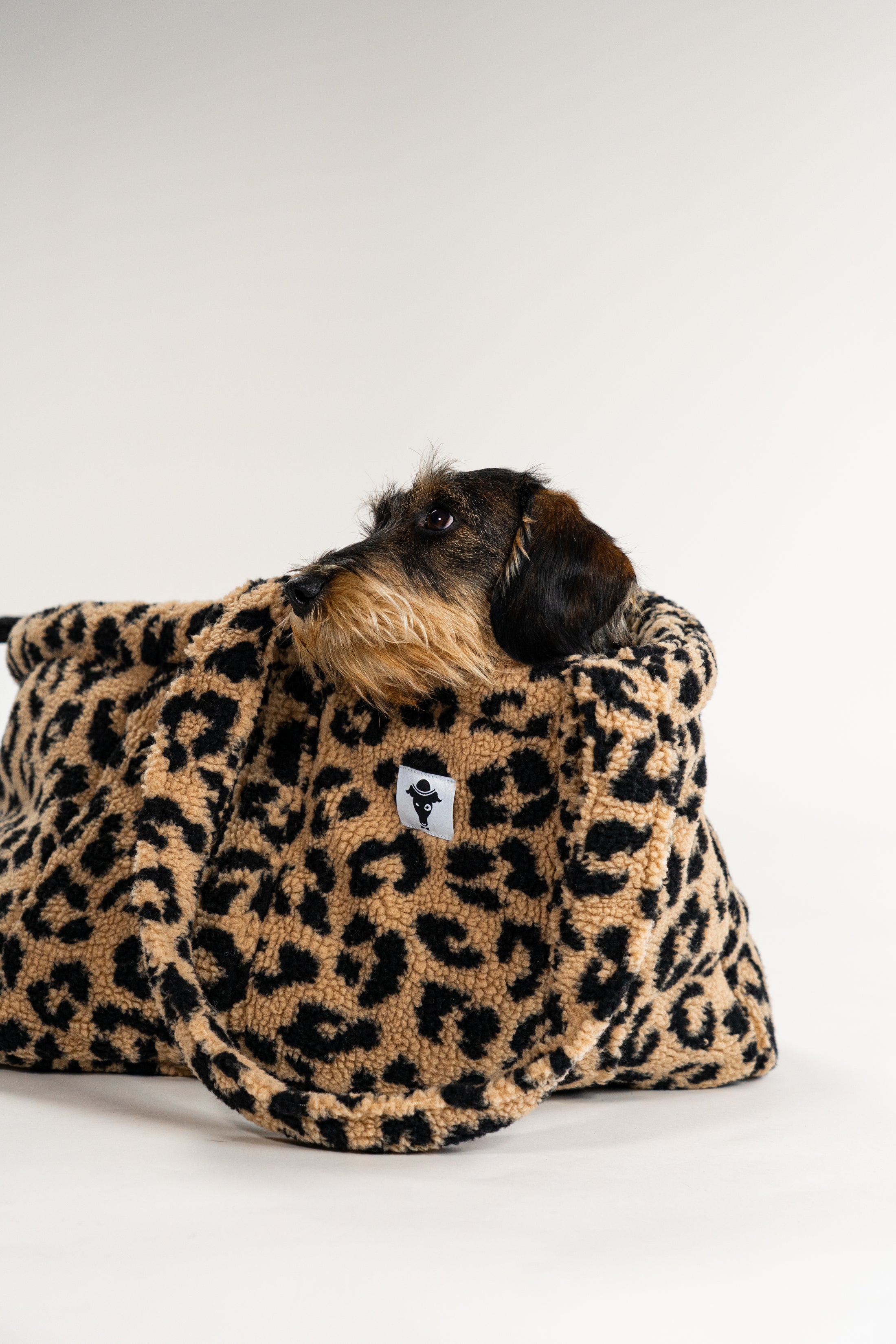 Leo Teddy Shopper Small Dackel