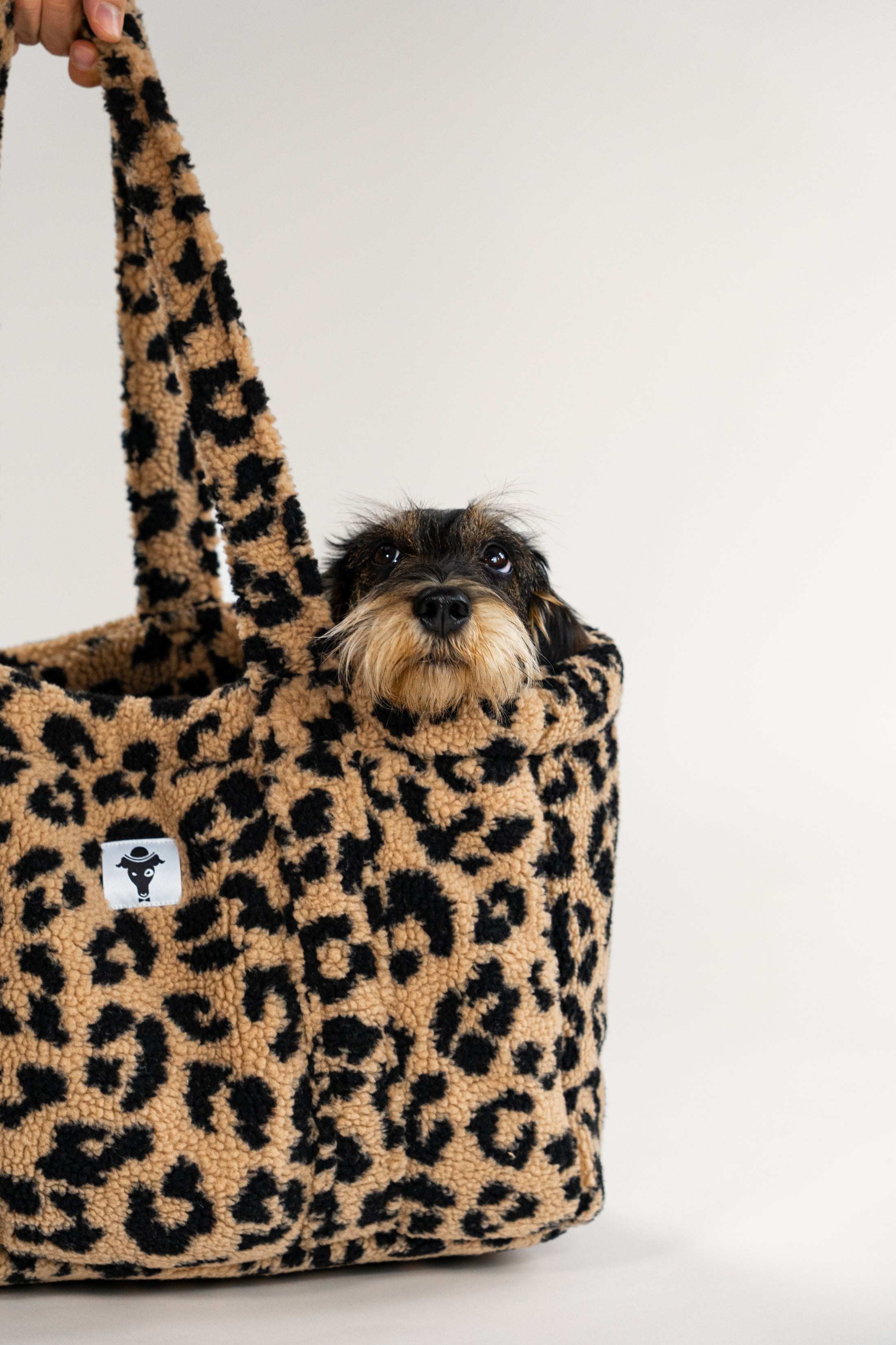 Reisebett Hunde Teddy Tasche Leo