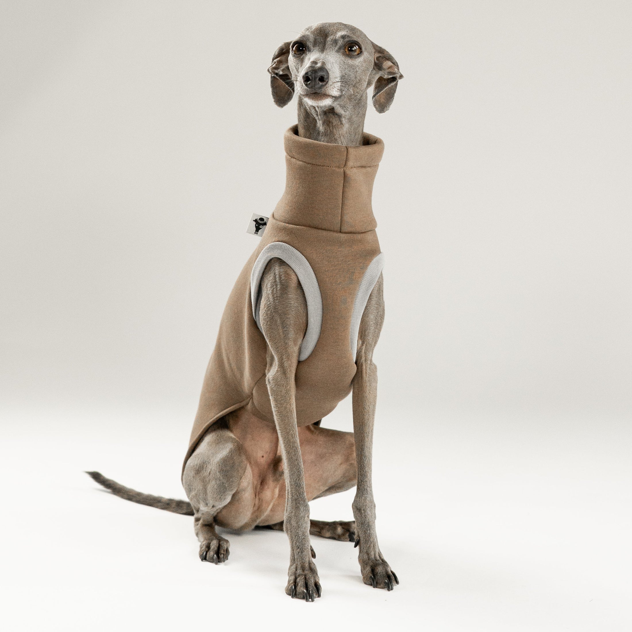 talienisches Windspiel trägt ärmelloses Long Shirt aus weichem Baumwollfleece in Mokka, ideal für kühle Herbsttage.