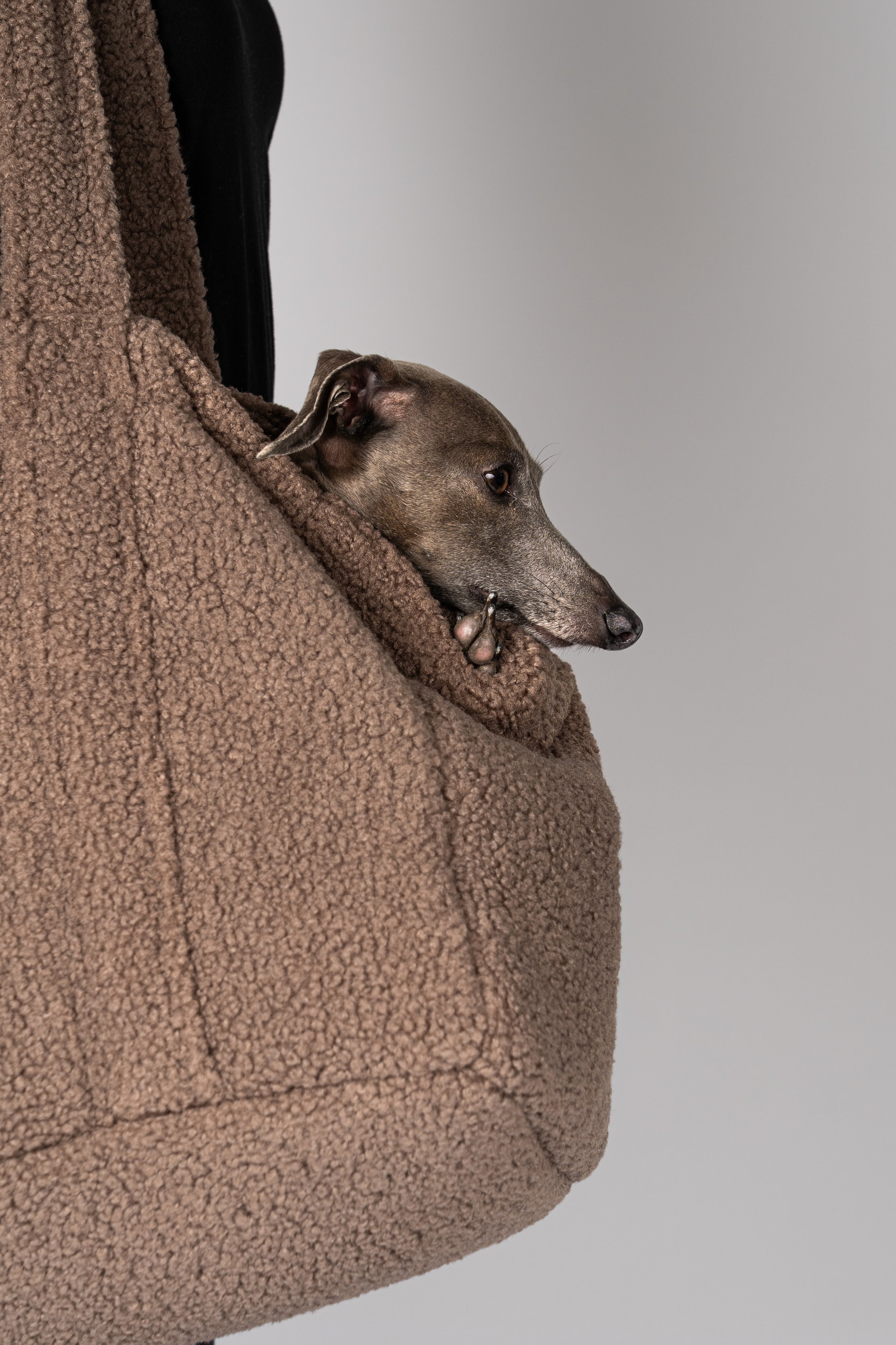 Teddy Shopper Small Walnut Karma Hund