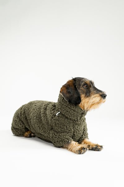 WINTER OVERALL 2.0 für Dackel in Dark Olive
