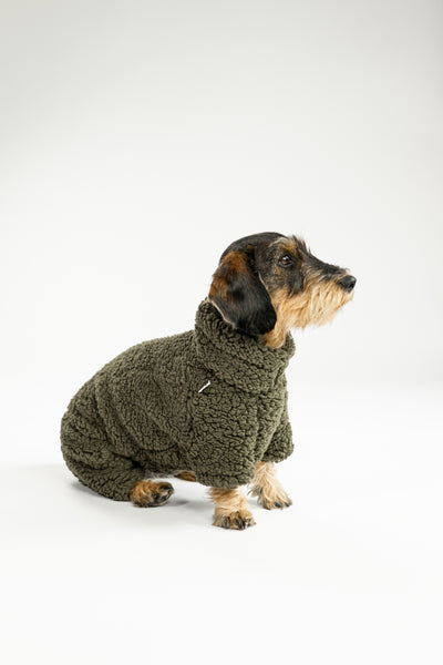 WINTER OVERALL 2.0 für Dackel in Dark Olive