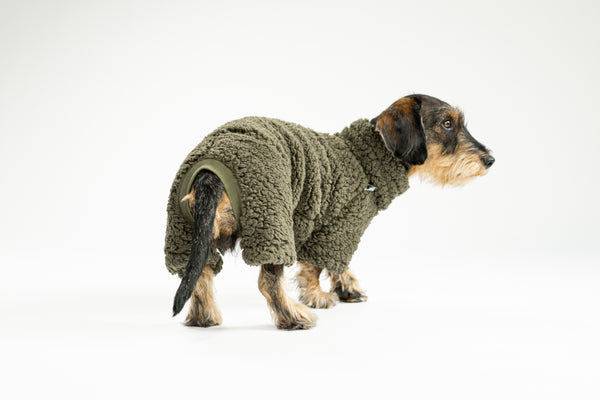 WINTER OVERALL 2.0 für Dackel in Dark Olive