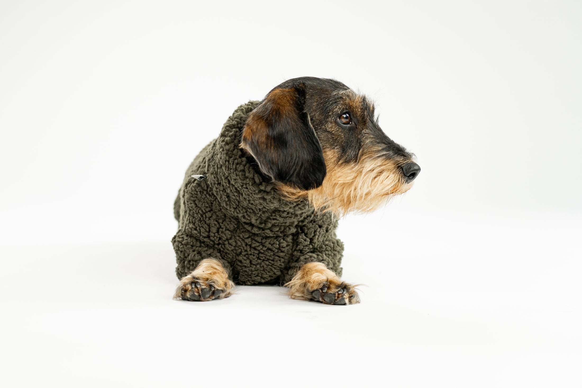 Warmer Hundemantel für Dackel mit perfekter Passform und Schutz für Rücken und Beine