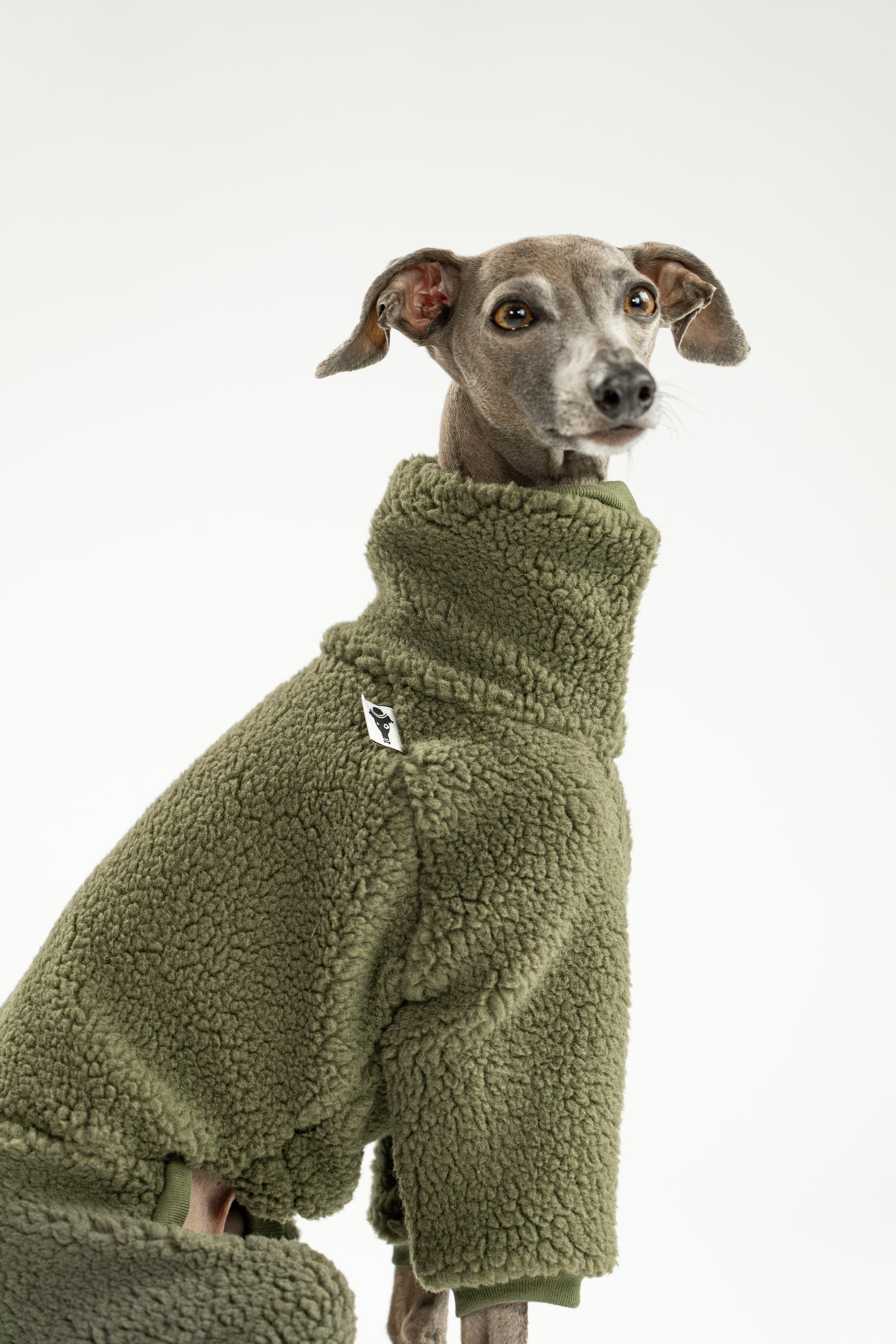 Italienisches Windspiel trägt Overall in Dark Olive aus weichem Teddy-Material