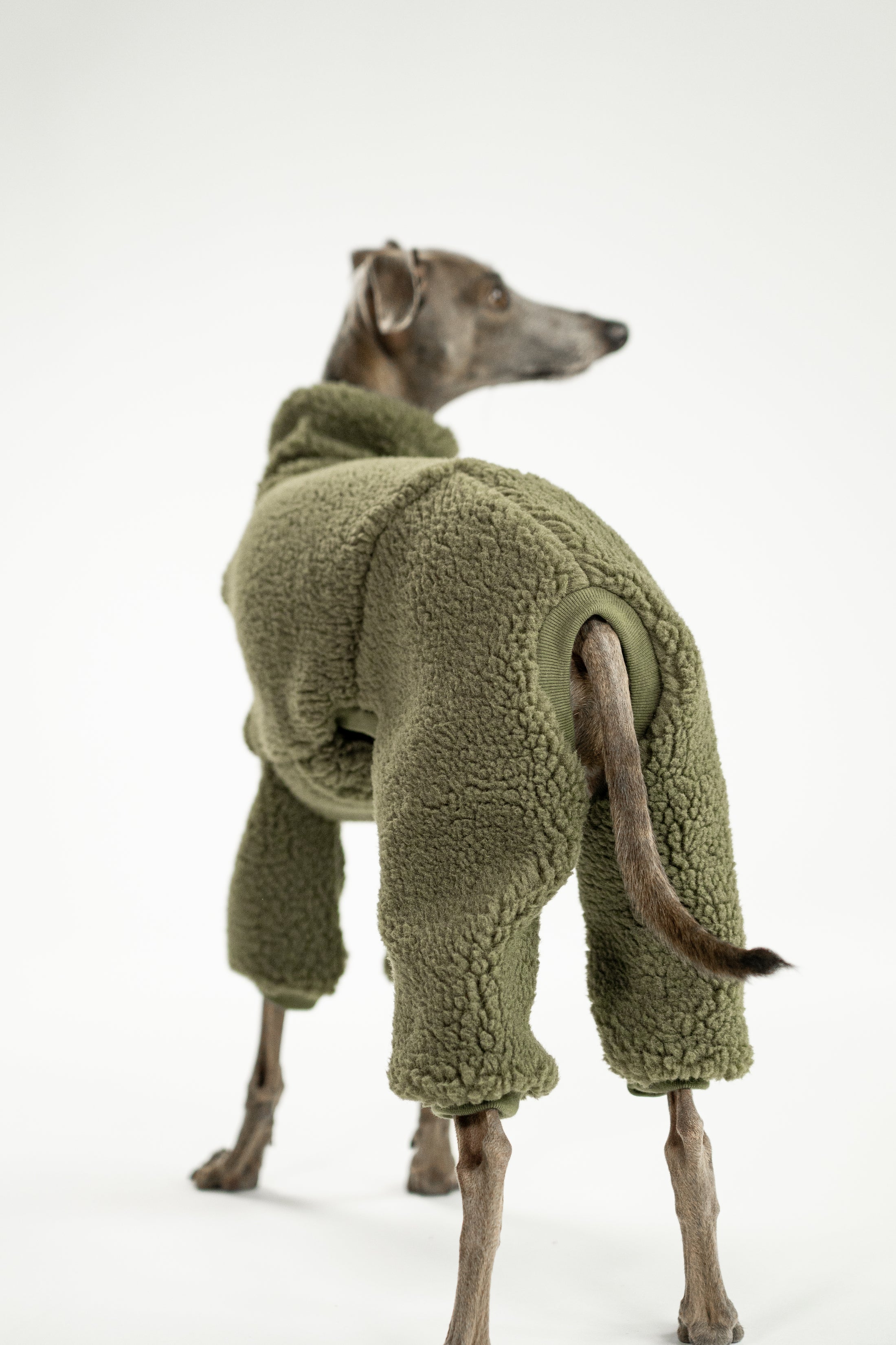 Hundebekleidung für Windspiele: Teddy-Overall in Dark Olive, stylisch & praktisch