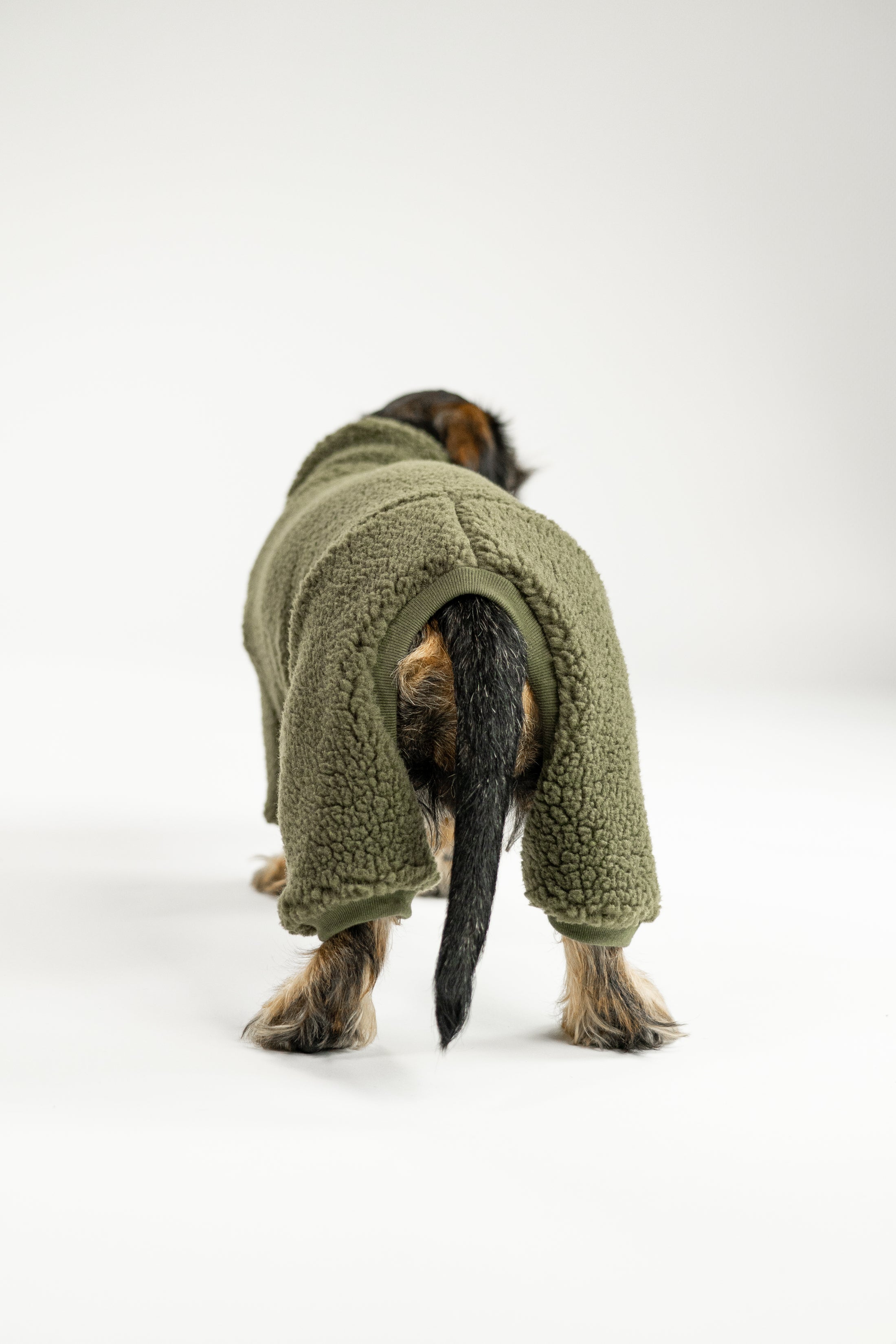 Warmer Hundebegleiter: dunkeloliver Teddy-Overall für Dackel