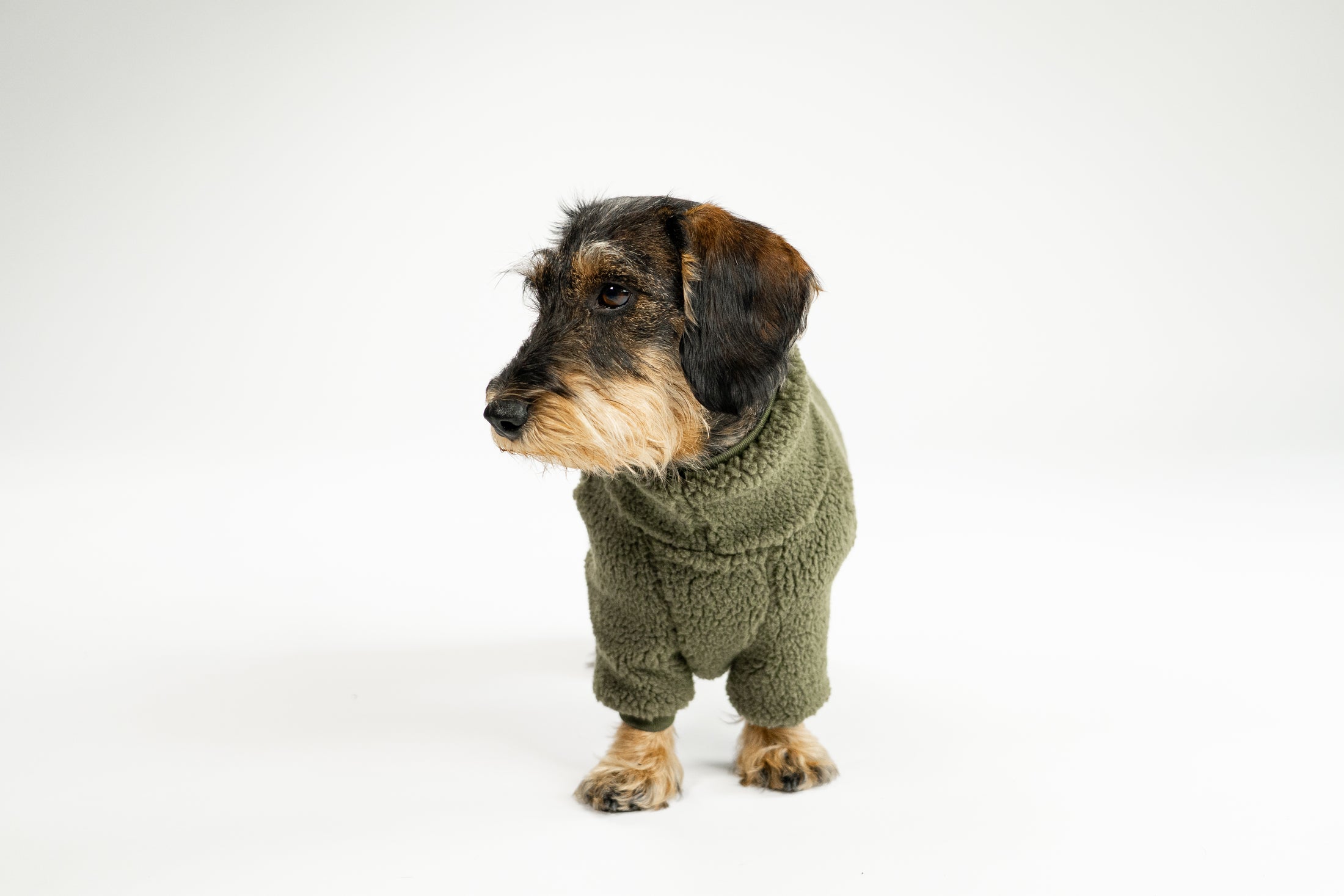 Dunkeloliver Teddy-Overall für Dackel – rundum warm und bequem