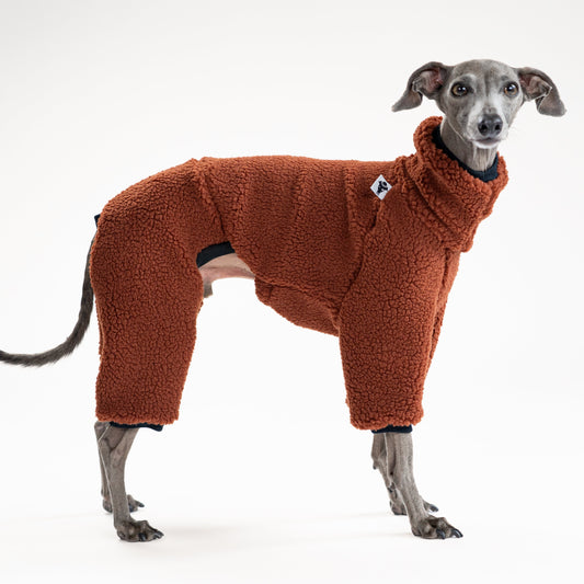 Italienisches Windspiel trägt braunen Teddy-Overall – handgemacht in Berlin