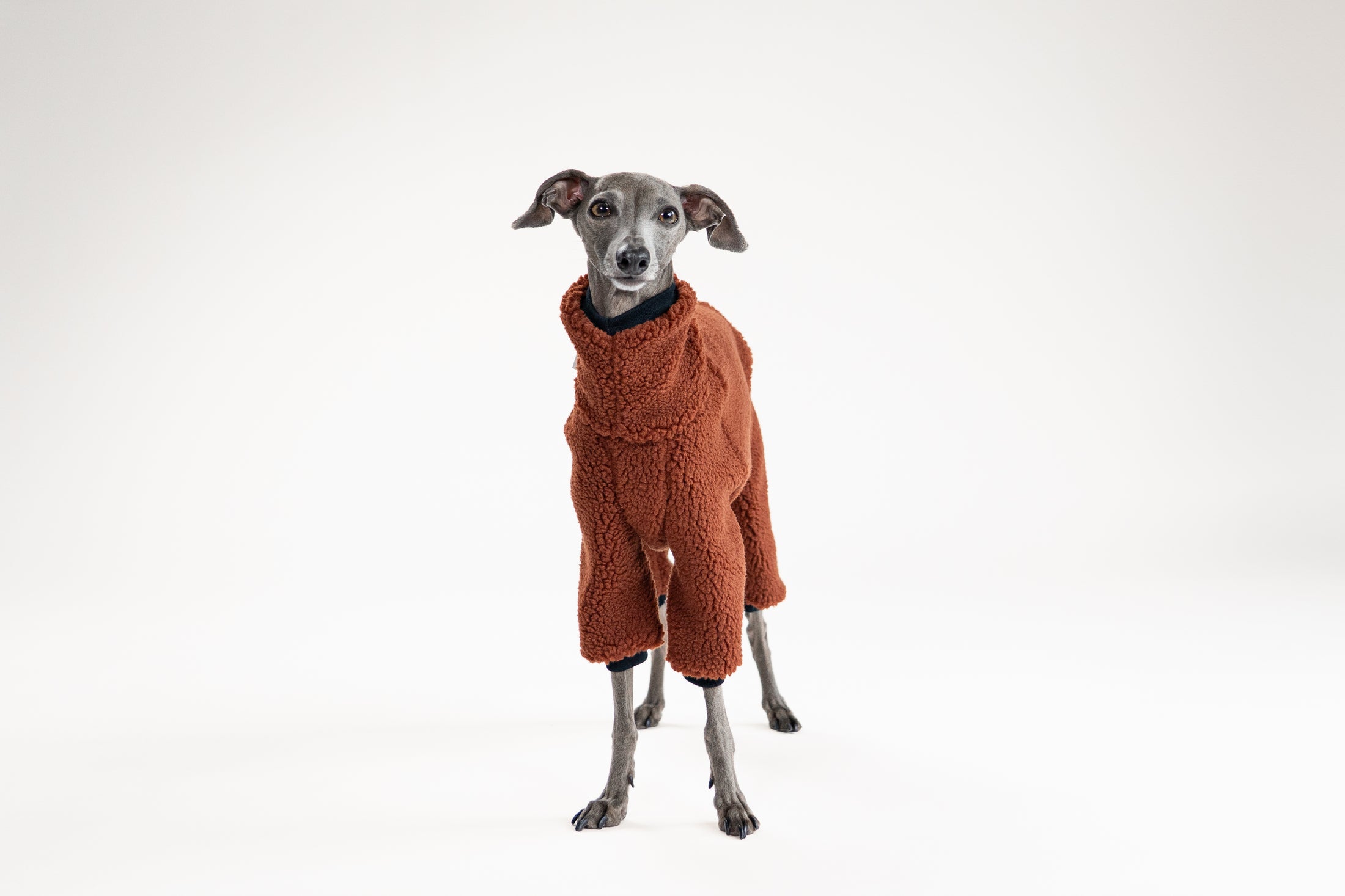 Warmer Hundebegleiter: brauner Teddy-Overall für Italienische Windspiele