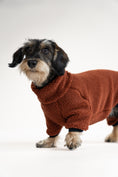 Load image into Gallery viewer, Warmer Hundebegleiter: brauner Teddy-Overall für Dackel
