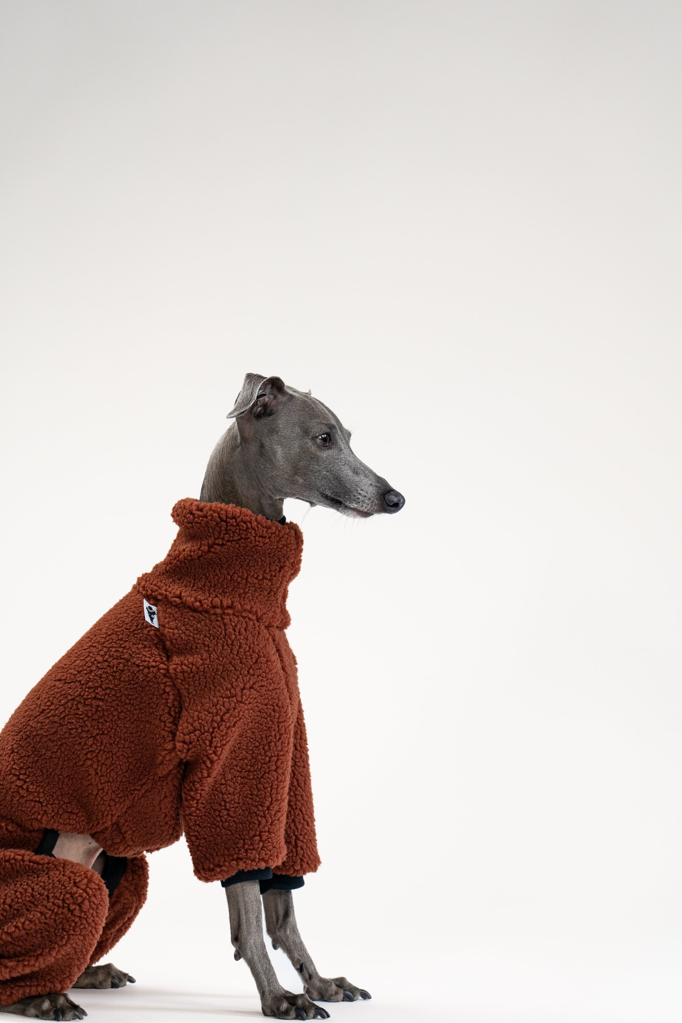 Hundebekleidung für Windspiele: brauner Teddy-Overall, bequem und stylisch