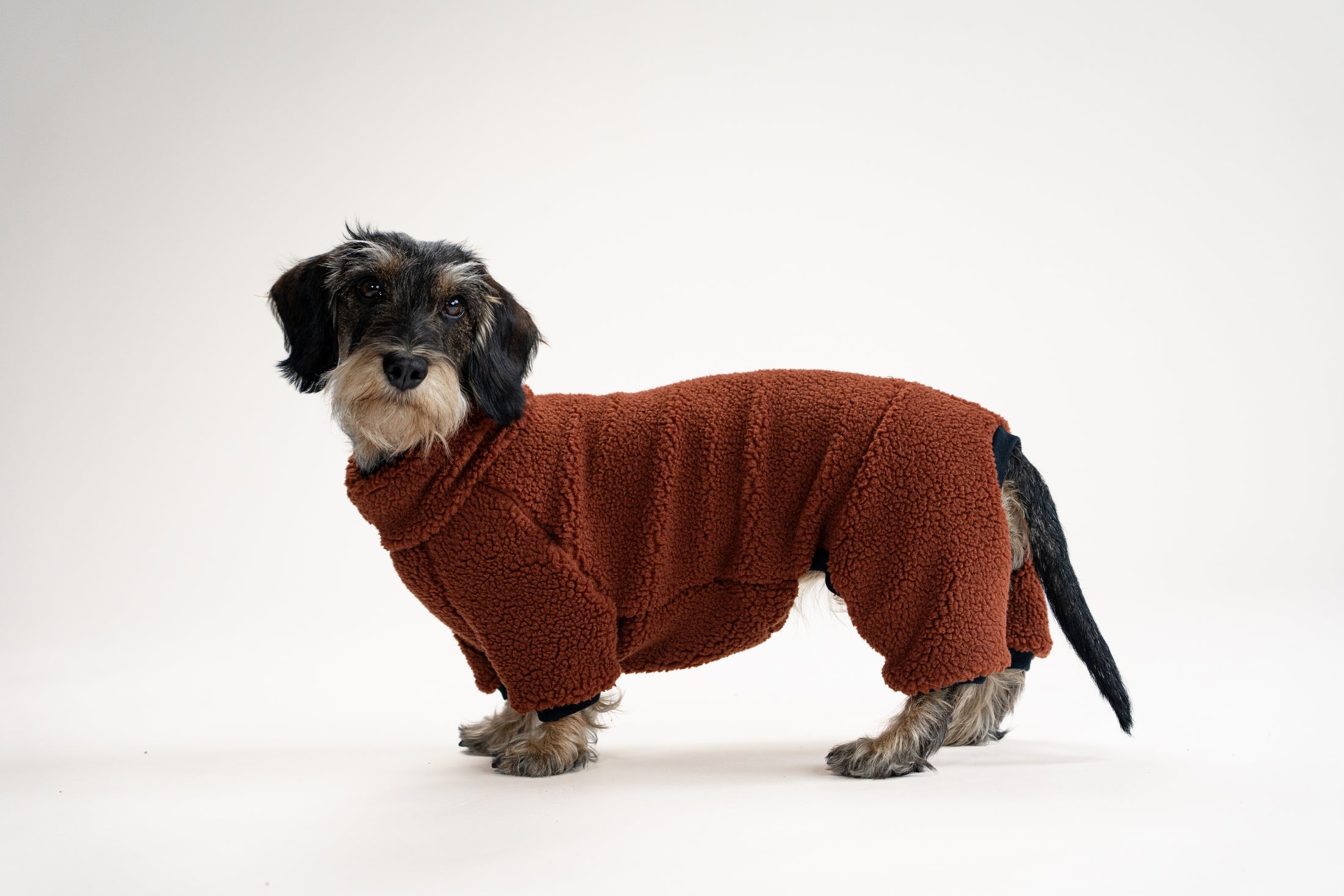 Brauner Teddy-Overall für Dackel – weich, warm und handgenäht